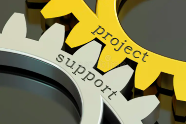 Project Execution Support